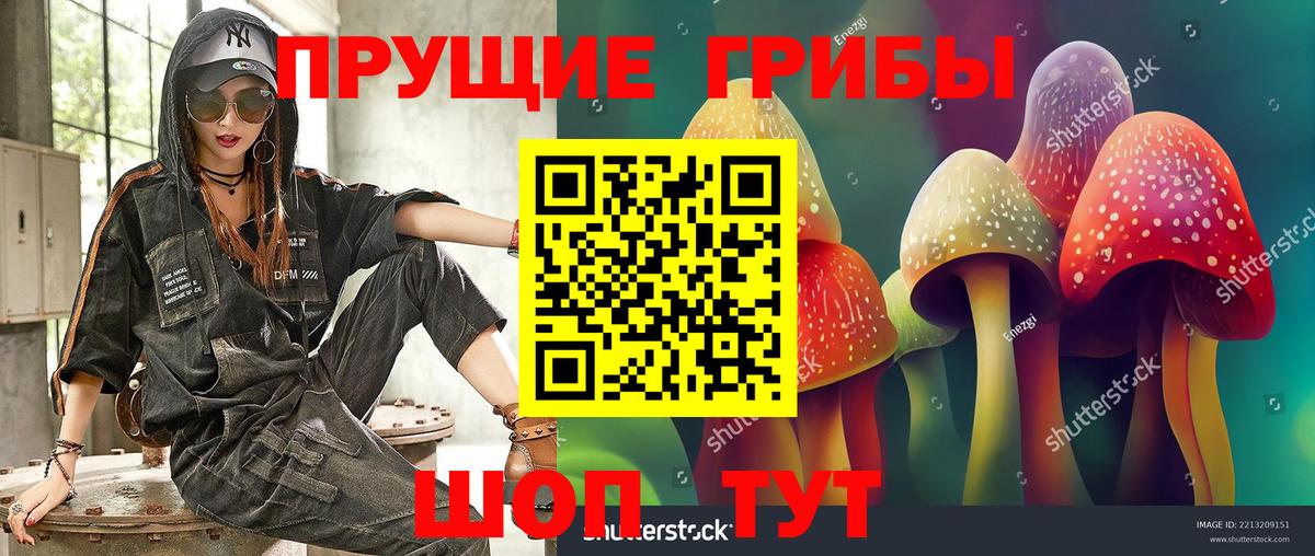 Псилоцибиновые грибы Magic Shrooms Дербент