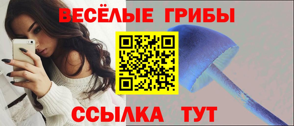 Псилоцибиновые грибы Magic Shrooms  Вход с VPN  Дербент 