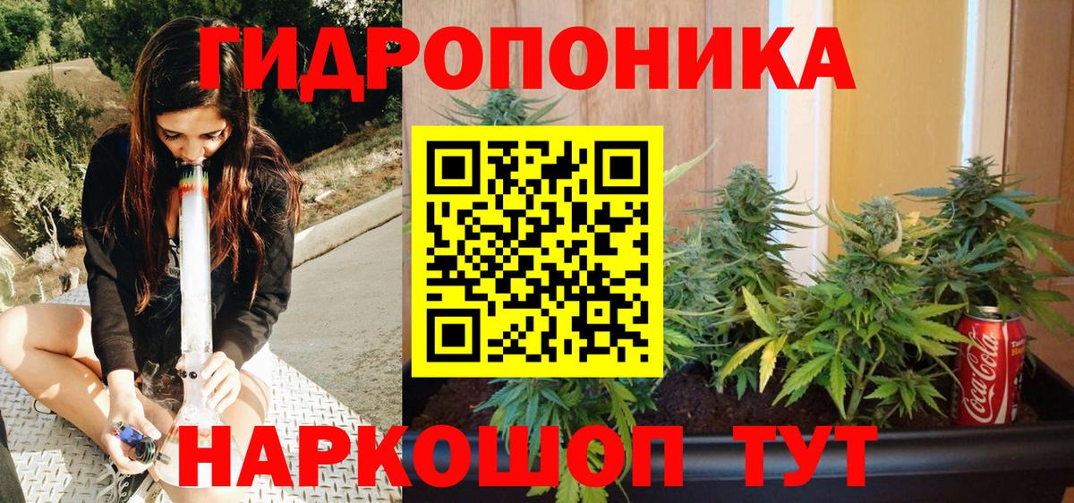 Марихуана семена Дербент